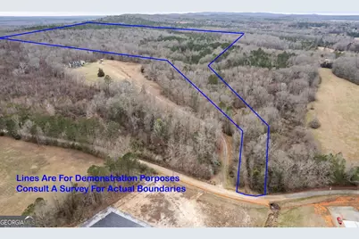 34.61 Acres Walker Road, Meansville, GA 30256 - Photo 2