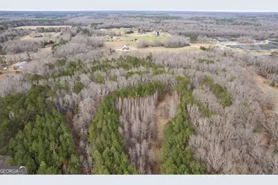 34.61 Acres Walker Road, Meansville, GA 30256 - Photo 8