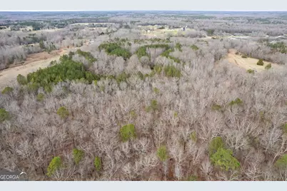 34.61 Acres Walker Road, Meansville, GA 30256 - Photo 10