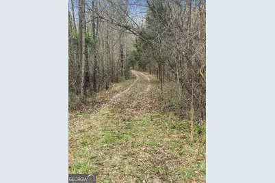34.61 Acres Walker Road, Meansville, GA 30256 - Photo 12