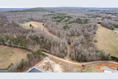 34.61 Acres Walker Road, Meansville, GA 30256 - Photo 4