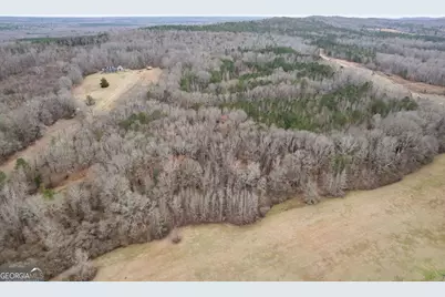 34.61 Acres Walker Road, Meansville, GA 30256 - Photo 6