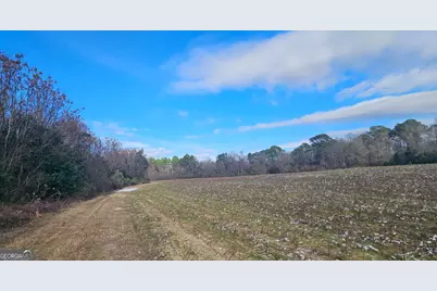 0 Garrett Road #N/A, Ashburn, GA 31714 - Photo 14