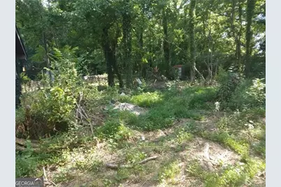 1122 SW West Avenue SW, Atlanta, GA 30315 - Photo 4