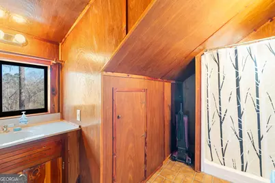 223 Eight Point Rd, Butler, GA 31006 - Photo 22