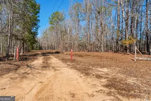 223 8 Point Rd, Butler, GA 31006 - Photo 34