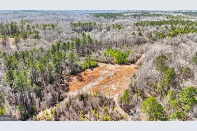 223 Eight Point Rd, Butler, GA 31006 - Photo 46