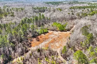 223 8 Point Rd, Butler, GA 31006 - Photo 46