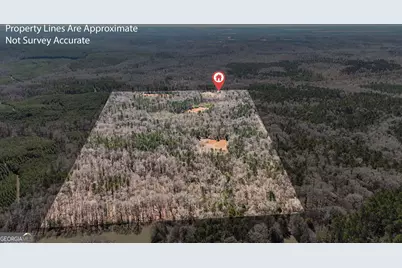 223 Eight Point Rd, Butler, GA 31006 - Photo 36