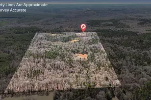 223 8 Point Rd, Butler, GA 31006 - Photo 36