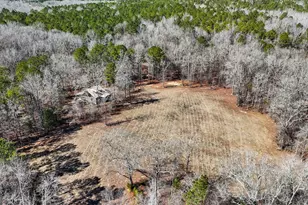 223 8 Point Rd, Butler, GA 31006 - Photo 52