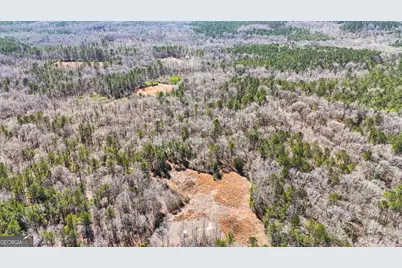 223 Eight Point Rd, Butler, GA 31006 - Photo 42