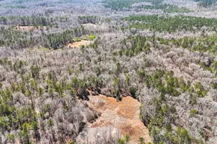 223 8 Point Rd, Butler, GA 31006 - Photo 42