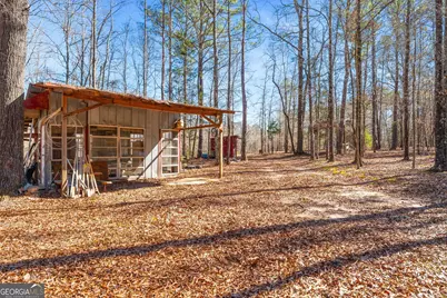 223 Eight Point Rd, Butler, GA 31006 - Photo 30