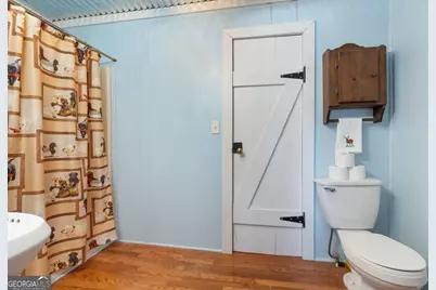 223 Eight Point Rd, Butler, GA 31006 - Photo 16