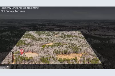 223 Eight Point Rd, Butler, GA 31006 - Photo 38