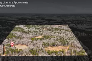 223 8 Point Rd, Butler, GA 31006 - Photo 38