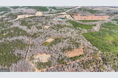 223 Eight Point Rd, Butler, GA 31006 - Photo 64