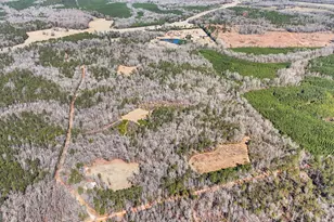 223 8 Point Rd, Butler, GA 31006 - Photo 64