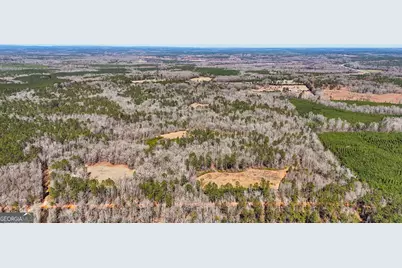 223 Eight Point Rd, Butler, GA 31006 - Photo 62