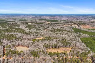 223 8 Point Rd, Butler, GA 31006 - Photo 62