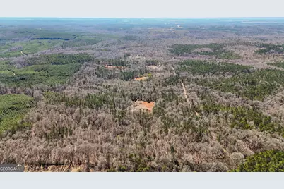 223 Eight Point Rd, Butler, GA 31006 - Photo 58