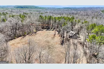 223 Eight Point Rd, Butler, GA 31006 - Photo 54