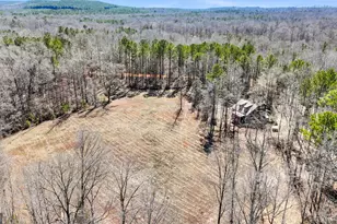 223 8 Point Rd, Butler, GA 31006 - Photo 54