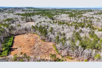 223 Eight Point Rd, Butler, GA 31006 - Photo 48