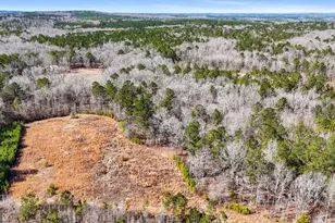 223 8 Point Rd, Butler, GA 31006 - Photo 48