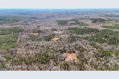 223 Eight Point Rd, Butler, GA 31006 - Photo 60