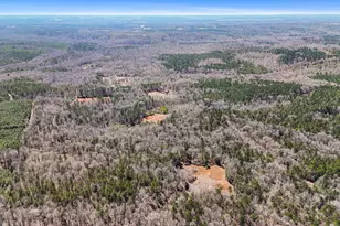 223 8 Point Rd, Butler, GA 31006 - Photo 60