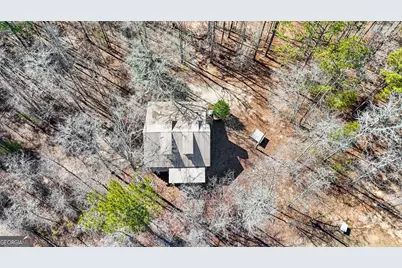 223 Eight Point Rd, Butler, GA 31006 - Photo 56