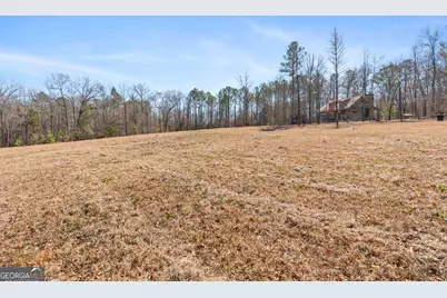 223 Eight Point Rd, Butler, GA 31006 - Photo 28