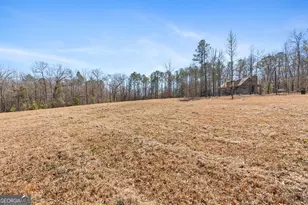 223 8 Point Rd, Butler, GA 31006 - Photo 28