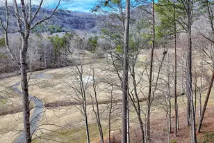 227 Shakespeare Dr, Clayton, GA 30525 - Photo 52