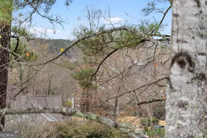 833 Southern Shore Drive, Peachtree City, GA 30269 - Photo 58