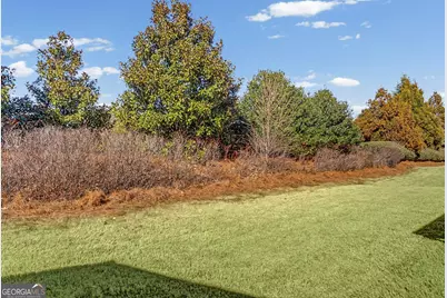 121 Plumleaf Ct., Griffin, GA 30223 - Photo 32