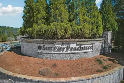 121 Plumleaf Ct., Griffin, GA 30223 - Photo 38