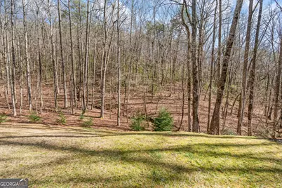 254 Jeb Drive, Cleveland, GA 30528 - Photo 78