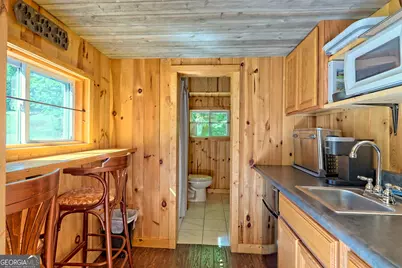 4979 Highway 197, Clarkesville, GA 30523 - Photo 62