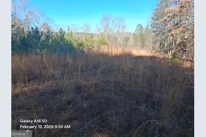 887 Allen, Grantville, GA 30222 - Photo 4