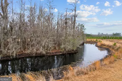 Tbd Trudie Road, Blackshear, GA 31516 - Photo 30