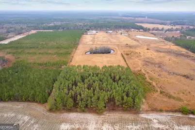 Tbd Trudie Road, Blackshear, GA 31516 - Photo 4