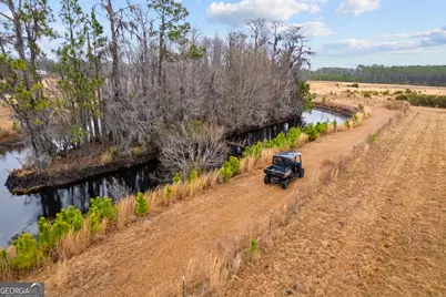 Tbd Trudie Road, Blackshear, GA 31516 - Photo 8