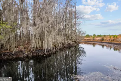 Tbd Trudie Road, Blackshear, GA 31516 - Photo 16