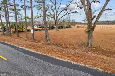 Tbd Trudie Road, Blackshear, GA 31516 - Photo 24
