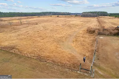 Tbd Trudie Road, Blackshear, GA 31516 - Photo 22