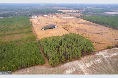 Tbd Trudie Road, Blackshear, GA 31516 - Photo 2