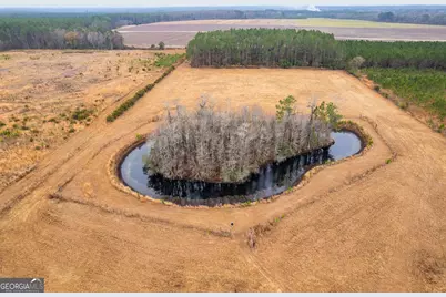 Tbd Trudie Road, Blackshear, GA 31516 - Photo 32